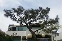 ** Hotel Airport Pineville Pension Jeju Südkorea